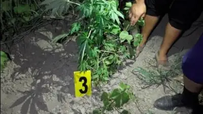 Zakon.kz, фото - Новости Zakon.kz от 11.08.2016 19:12