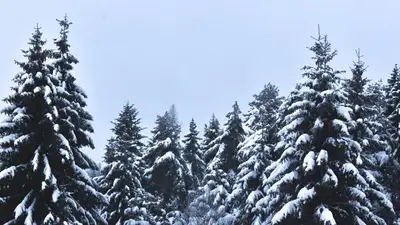 прогноз погоды в Казахстане на 27-29 декабря, фото - Новости Zakon.kz от 26.12.2022 10:39