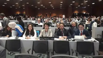 zakon.kz, фото - Новости Zakon.kz от 04.07.2019 16:57