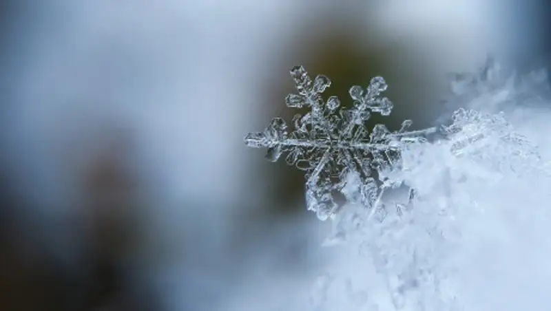 Прогноз погоды на 16 февраля