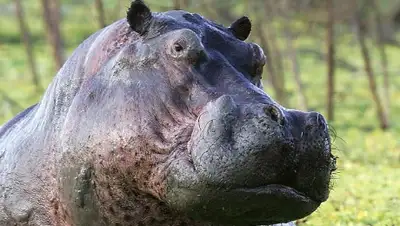 Zakon.kz, фото - Новости Zakon.kz от 30.11.2015 19:55