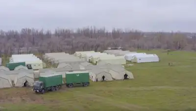 Скриншот, фото - Новости Zakon.kz от 08.04.2020 17:33