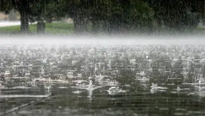 Zakon.kz, фото - Новости Zakon.kz от 17.08.2017 12:00