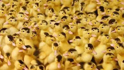 Zakon.kz, фото - Новости Zakon.kz от 23.10.2015 21:55