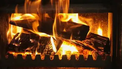 Pixabay, фото - Новости Zakon.kz от 29.10.2020 23:02