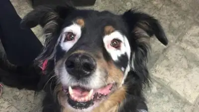 Life.ru, фото - Новости Zakon.kz от 09.12.2018 21:57