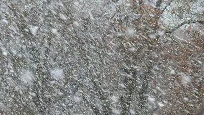 Pixabay, фото - Новости Zakon.kz от 24.02.2020 20:37