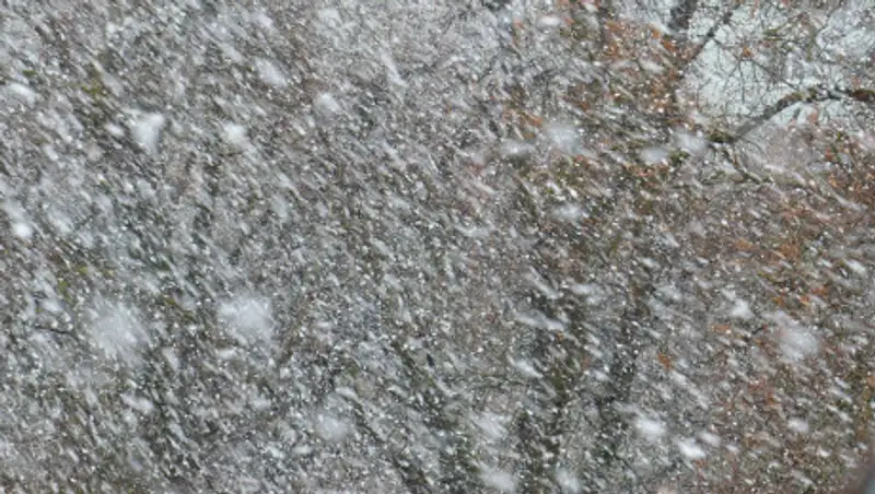 В Нур-Султане ожидается сильный буран