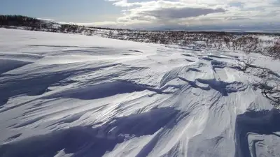степь, фото - Новости Zakon.kz от 13.01.2023 19:36