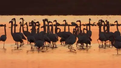 Facebook, фото - Новости Zakon.kz от 12.11.2019 06:42