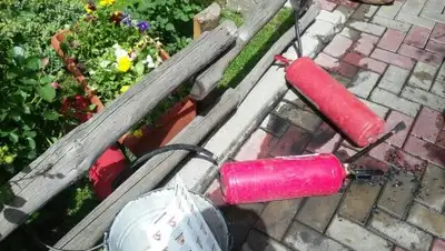 Zakon.kz, фото - Новости Zakon.kz от 24.05.2017 22:04