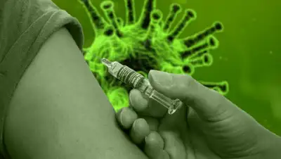 Pixabay, фото - Новости Zakon.kz от 07.04.2020 23:22