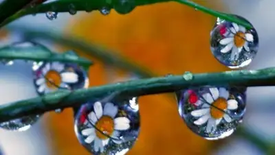 Zakon.kz, фото - Новости Zakon.kz от 21.08.2015 12:42