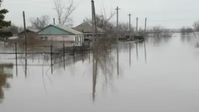 Zakon.kz, фото - Новости Zakon.kz от 26.04.2015 14:45