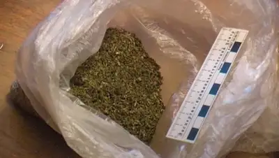 Zakon.kz, фото - Новости Zakon.kz от 30.03.2016 16:55