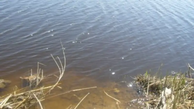 В Таразе ликвидируют подтопление домов