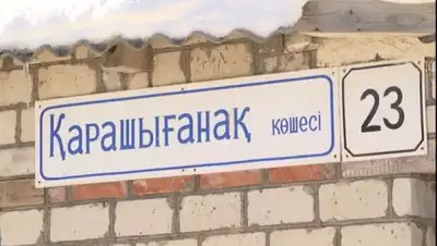 Zakon.kz, фото - Новости Zakon.kz от 19.01.2017 23:11