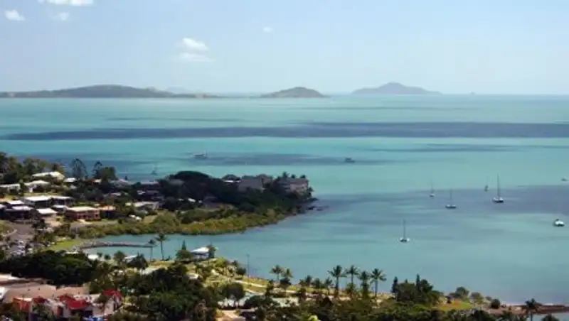 В Новой Зеландии нашли гигантское пульсирующее существо