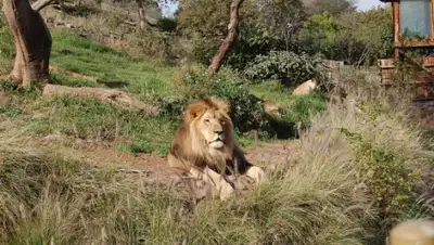 Zakon.kz, фото - Новости Zakon.kz от 26.08.2015 00:03