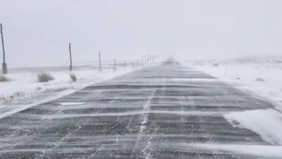 Zakon.kz, фото - Новости Zakon.kz от 30.03.2015 17:57