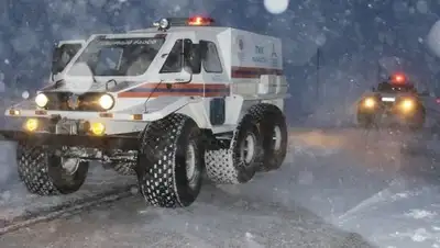 ru.sputniknews.kz, фото - Новости Zakon.kz от 14.01.2018 18:45