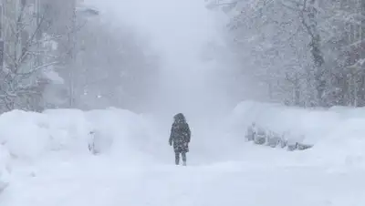 qil.ru, фото - Новости Zakon.kz от 01.02.2018 15:40