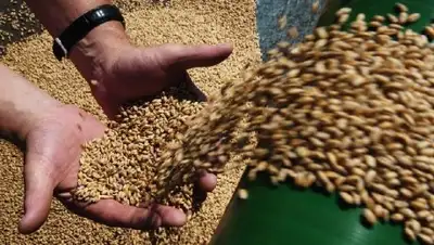 Фото с сайта inform.kz, фото - Новости Zakon.kz от 26.12.2017 23:28