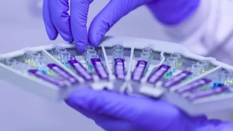 У кого в Павлодаре выявили "эта-штамм"