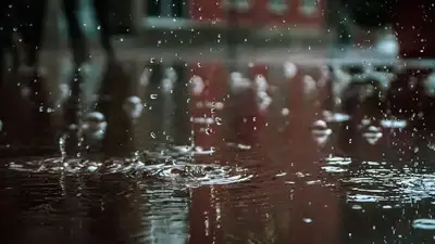 Дождь, сильный ветер, грозу прогнозируют синоптики на юге Казахстана , фото - Новости Zakon.kz от 06.03.2023 17:23