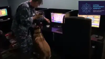 кадр видео, фото - Новости Zakon.kz от 29.05.2020 10:32