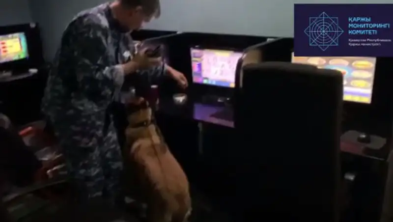 Компьютерный клуб оказался электронным казино в Алматы