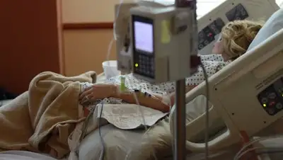 pixabay.com, фото - Новости Zakon.kz от 14.02.2019 23:20