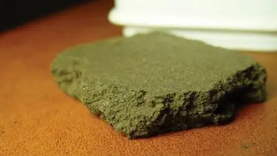 Zakon.kz, фото - Новости Zakon.kz от 14.10.2016 23:55