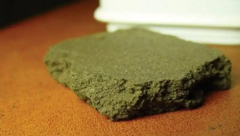 Около 3 тонн наркотиков изъято в Алматинской области с начала года