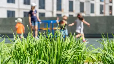 год дети Акмолинская область, фото - Новости Zakon.kz от 27.07.2022 11:12