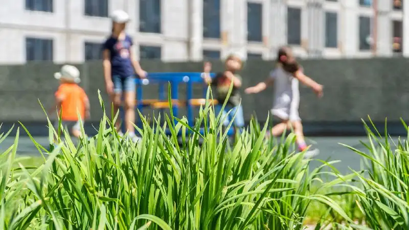 Как проходит Год детей в Акмолинской области