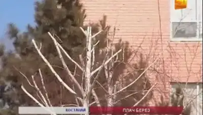 Zakon.kz, фото - Новости Zakon.kz от 28.03.2014 14:53