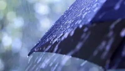 inalmaty.kz, фото - Новости Zakon.kz от 25.05.2018 17:32