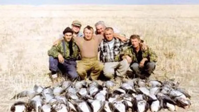 В варварское истребление превратилась охота на гуся вблизи Аркалыка