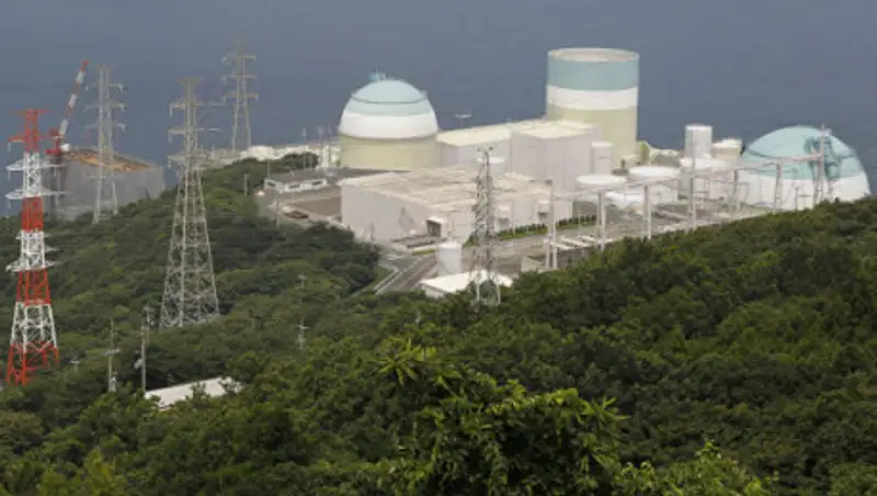 В Японии в 130 км от АЭС произошло извержение вулкана