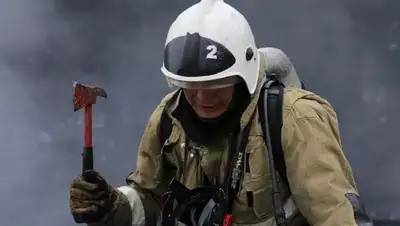 Дерево упало на машину, фото - Новости Zakon.kz от 23.03.2022 19:50