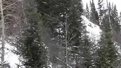 Zakon.kz, фото - Новости Zakon.kz от 11.12.2014 15:12