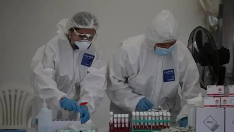 Фельдшер продавала поддельные ПЦР-тесты пересекающим госграницу через порт "Курык"