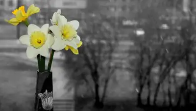 Zakon.kz, фото - Новости Zakon.kz от 14.04.2017 21:19