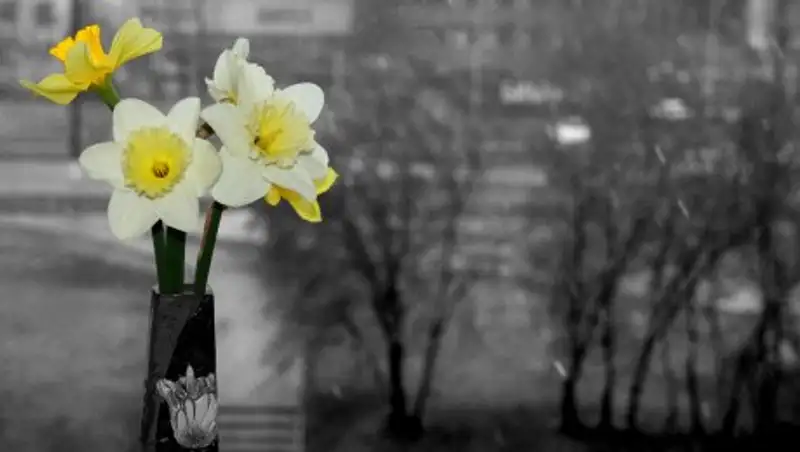 Дождливые выходные обещают синоптики жителям Казахстана