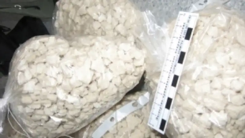 Пограничники изъяли около 30 килограммов героина на казахстанско-кыргызской границе