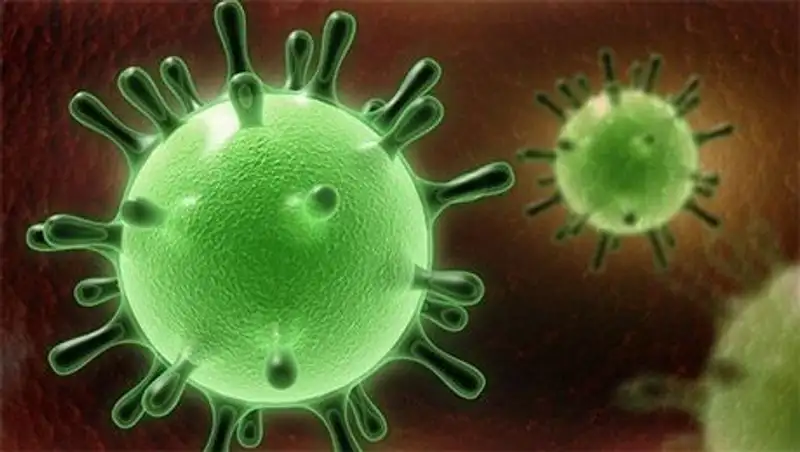 В Казахстане не зарегистрировано случаев заболевания «верблюжьим гриппом»