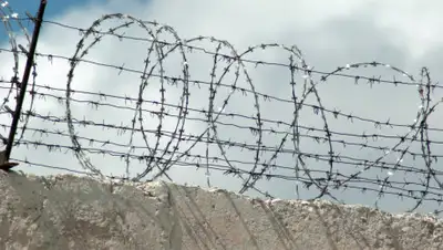 knews.kg, фото - Новости Zakon.kz от 12.04.2019 11:07