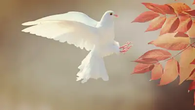 pixabay.com, фото - Новости Zakon.kz от 29.08.2019 11:47