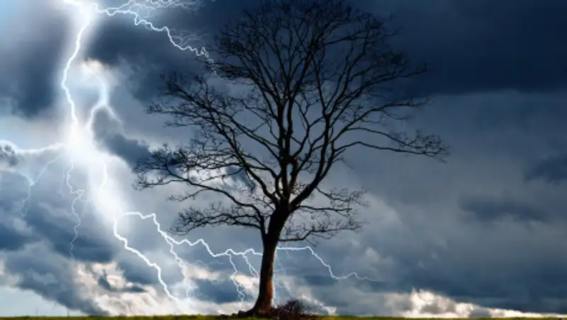 Дожди с грозами пройдут 2 сентября в Казахстане